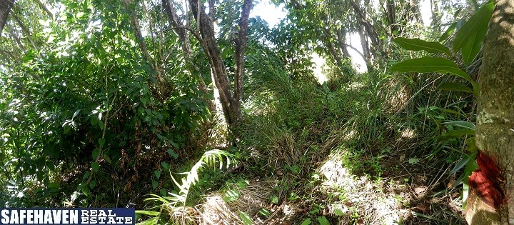 Vacant Land For Sale, Picard, North-West, Dominica