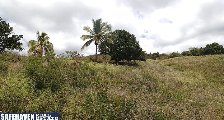 Macoucherie, Westcoast, Dominica - Land For Sale | Safe Haven Real Estate